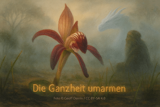 Featured image for “Red Beak Orchid (Pyrorchis nigricans) – Die Ganzheit umarmen”