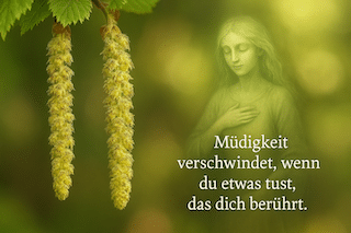 Featured image for “Hornbeam (Hainbuche) – Die Spannkraft der Seele”